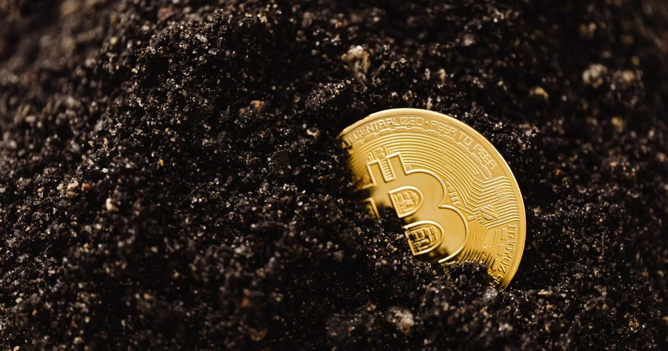 Choosing the Right Cryptocurrencies