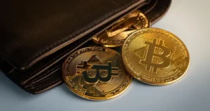How to Choose the Right Cryptocurrency Wallet?